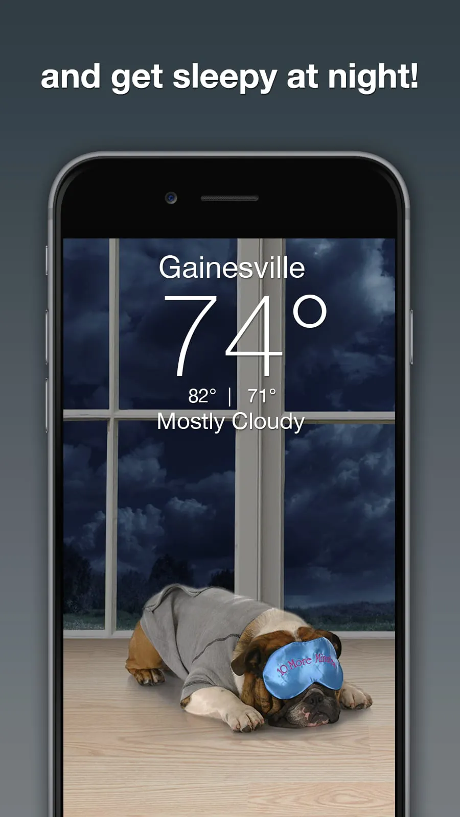 Weather Puppy - App & Widget
