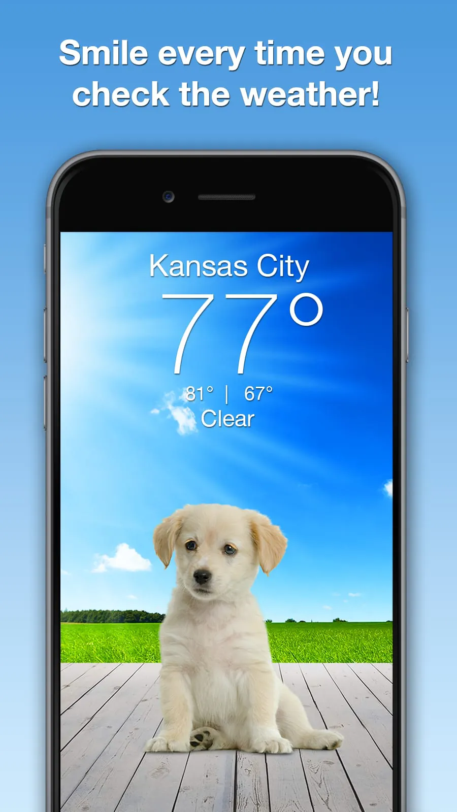 Weather Puppy - App & Widget