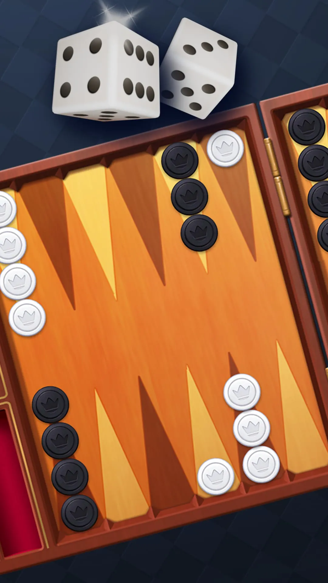 Backgammon: Dice Board Game